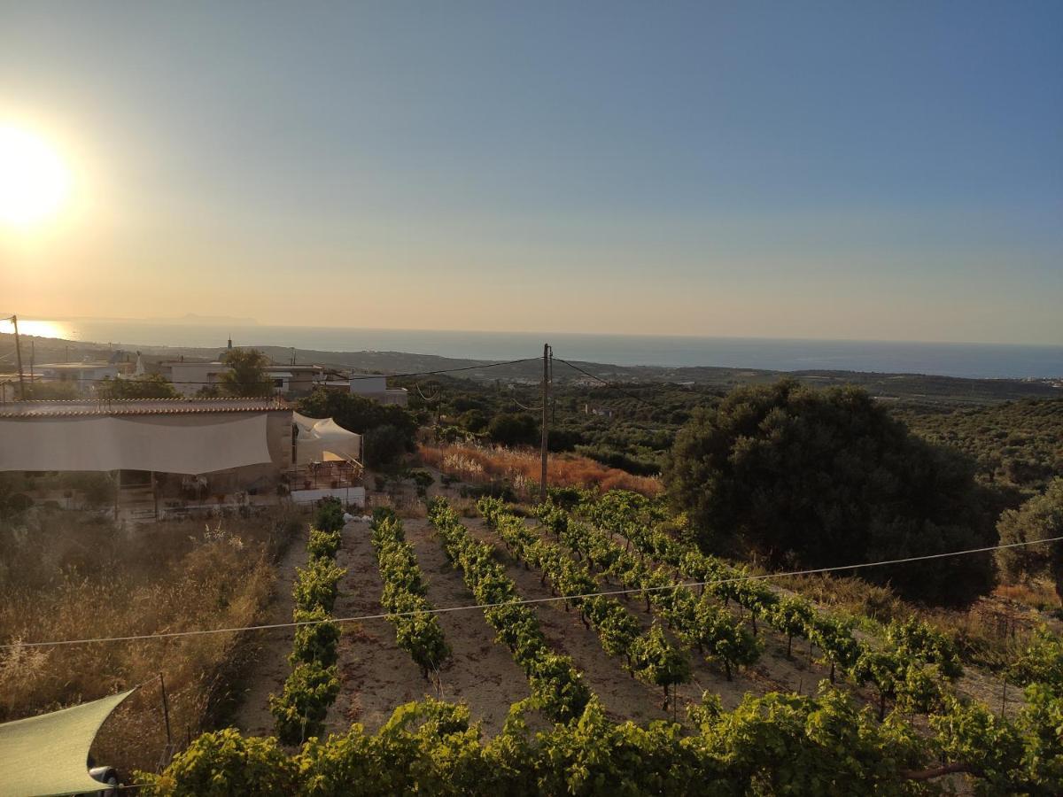 Villa Kara - Bed And Breakfast Mési Екстериор снимка